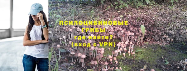 Альфа ПВП Новозыбков