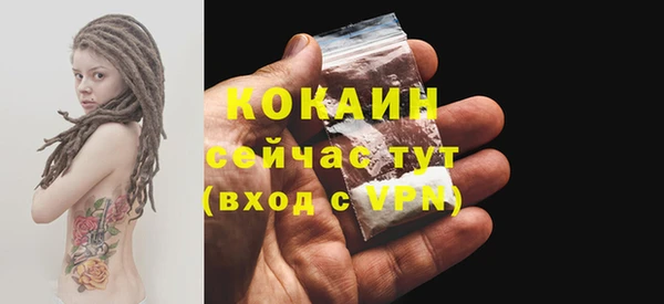 Альфа ПВП Новозыбков