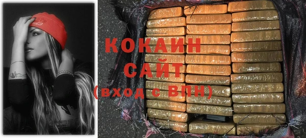 индика Нея
