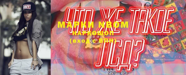индика Нея
