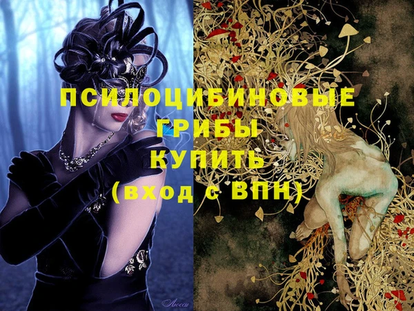 меф Нефтегорск