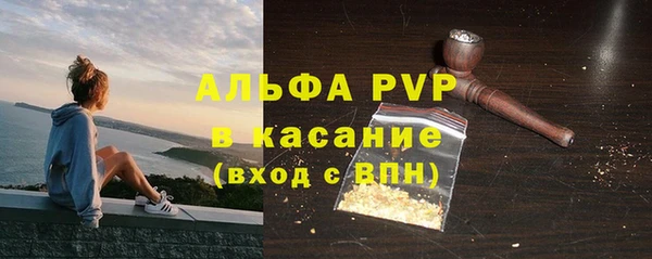 Альфа ПВП Новозыбков