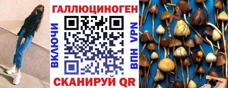 Галлюциногенные грибы GOLDEN TEACHER  где купить   Лебедянь 